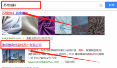 康帝雅高檔面料（蘇州）有限公司同我公司簽署網站開發事宜