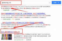 溫州瑞泰化纖有限公司和我公司簽訂SEO優化項目