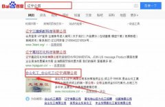 合山化工（遼寧）有限公司跟本公司簽訂搜索引擎優化項目
