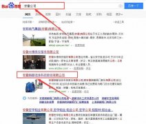 安徽銅都流體科技股份有限公司跟本公司簽訂搜索引擎優化項目