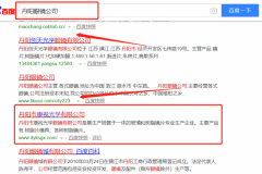 丹陽(yáng)市康視光學(xué)眼鏡有限公司和我公司簽訂SEO優(yōu)化項(xiàng)目