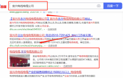 圣*電纜有限公司與海洋網(wǎng)絡(luò)簽署萬(wàn)詞霸屏項(xiàng)目