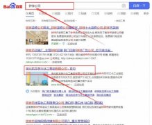 湖北*龍楚興化工集團有限公司網站SEO優化到首頁按天扣費