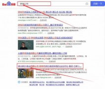 湖北*沙食品有限公司網站SEO優化到首頁按天扣費