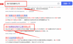 海寧*橫世紀電子工程有限公司SEO優(yōu)化到首頁按天扣費