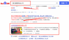 山東吉*橡塑有限公司SEO優化營銷策劃優質品牌