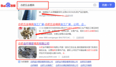 合肥金*精密模具有限公司SEO優化排名效果展示