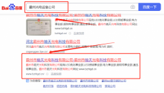 霸州市*天光電科技有限公司優化排名保證在首頁效果