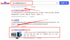 武漢海*科技發展有限公司百度排名營銷策劃優質品牌