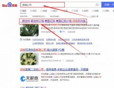 郯城鳳*苗木有限公司網站SEO優化到首頁無排名不收費