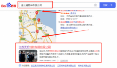 江蘇天*特種車輛有限公司網站SEO優化到首頁按天扣費