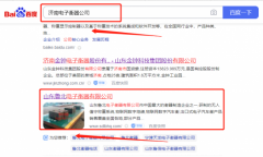 山東*北電子衡器有限公司網(wǎng)絡(luò)營銷保證在首頁效果