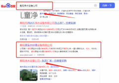 衡陽*寶水處理設備有限公司新站排名最快上詞效果展示