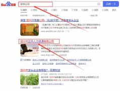 定州市正*人力資源有限公司關鍵詞推廣最快上詞效果展示