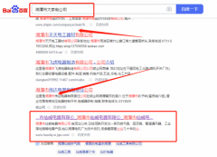 湘潭市*威電器有限公司網(wǎng)站SEO優(yōu)化營銷+精準(zhǔn)獲客