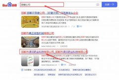 邯鄲市*沃肥業(yè)科技有限公司網(wǎng)站優(yōu)化最快上詞效果展示