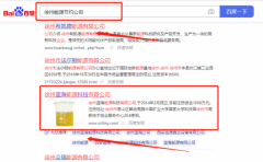 徐州藍(lán)*能源科技有限公司百度排名排名效果展示