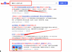 青島金*瑞安全防護用品有限公司網站SEO優化名參考網站