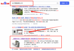 湖南*成安智能科技有限公司整站優化專注一站式品牌營銷整合推廣