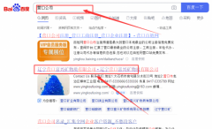 遼寧營口富*礦物質有限公司網站優化網絡營銷優化公司
