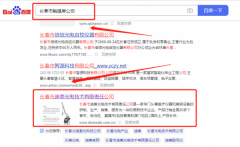 長春市迪*光電技術有限責任公司整站優化排名案例欣賞