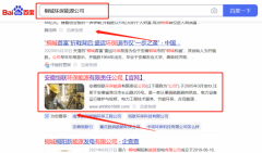 安徽恒*環保能源有限責任公司SEO優化案例欣賞