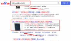 浙江環*光伏科技有限公司網站排名營銷優化公司