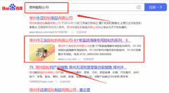 常州市*友膠粘劑有限公司SEO優化到首頁無排名不收費