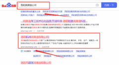 洛陽*潤潤滑油有限公司網絡營銷案例欣賞