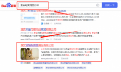 淮安藍*蜓嬰童用品有限公司整站優化效果展示