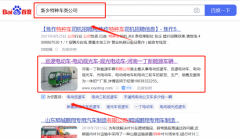 河南一*新能源車輛有限公司網站排名案例欣賞