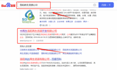 中*生洛陽再生資源開發有限公司整站優化讓網站輕松覆蓋在搜索引擎