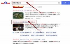 陜西建工(安康）*型建材有限公司網站優化最快上詞效果展示