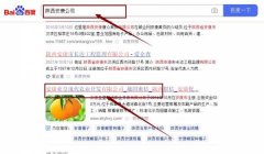 安康亞*現(xiàn)代農(nóng)業(yè)開發(fā)有限公司網(wǎng)站優(yōu)化最快上詞效果展示