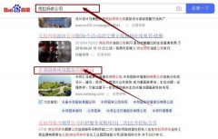 中邦匯*園林環境建設有限公司網站優化讓網站輕松覆蓋在搜索引擎