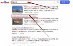 西藏阜*醫藥發展有限公司網站排名最快上詞效果展示