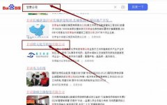 甘肅皓*化學科技有限公司網站優化最快上詞效果展示