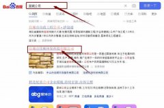 宜城市佳*環?？萍加邢薰揪W站優化保證在首頁效果