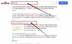 新余市恒*包裝有限公司網站優化保證在首頁效果