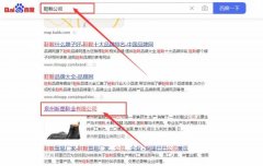 泉州新*鞋業(yè)有限公司網(wǎng)站推廣品牌營(yíng)銷策劃?rùn)C(jī)構(gòu)