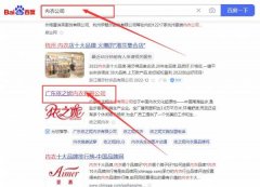 廣東依*妮內衣有限公司關鍵詞推廣排名效果展示